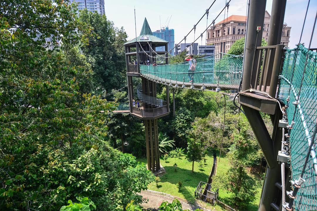 Réserve forestière de Bukit Nanas